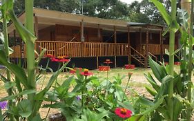 Hostal Caño Nevera