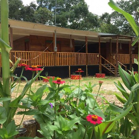 Hostal Caño Nevera La Macarena Exterior foto
