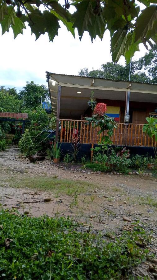 Hostal Caño Nevera La Macarena Exterior foto